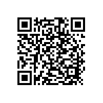 铅酸电池极板化成工艺与活性物质转化