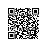 干式荷电蓄电池的性能特征：负极PbO含量对首次注液后电动势、电解液密度及温度变化的影响