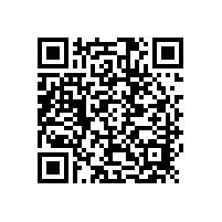 硫酸（H?SO?）在铅酸电池中的关键作用、物理性质与浓度表示