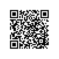 双极性柴油发电机电池的结构