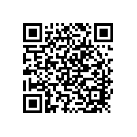 双极性柴油发电机电池的特点