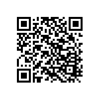 定制家居：生態(tài)建筑學(xué)和別墅風(fēng)水設(shè)計(jì)