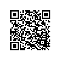 二門(mén)深色衣柜：買(mǎi)定制衣柜好，還是成品衣柜好？