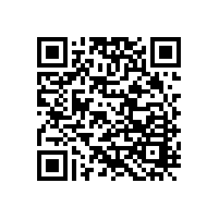 黑檀木家具什么檔次，黑檀木家具的優(yōu)缺點(diǎn)