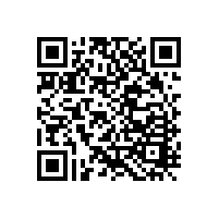 特種繡花制版：手工繡花沙發(fā)墊！