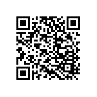 【臥室家具裝飾】臥室古典紅木家具之三：貴妃榻