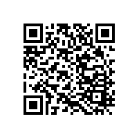 左右手安裝公司”梧桐山“之行