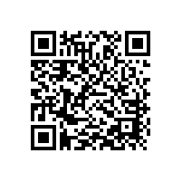 羅茨風(fēng)機(jī)典型故障及維修處理