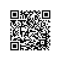羅茨風(fēng)機(jī)自動(dòng)調(diào)壓力可以實(shí)現(xiàn)嗎？