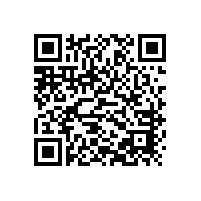 兩相電三葉羅茨風(fēng)機(jī)可以定制嗎？