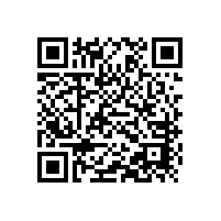 雙級(jí)串聯(lián)羅茨風(fēng)機(jī)可以采用特殊密封嗎？