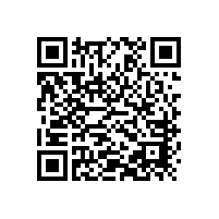三葉羅茨鼓風(fēng)機(jī)結(jié)構(gòu)圖構(gòu)造（版本）含工作原理