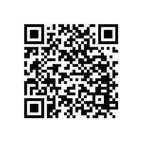 第十一屆鄭州國際少林武術(shù)節(jié)都有哪些內(nèi)容？（圖文）