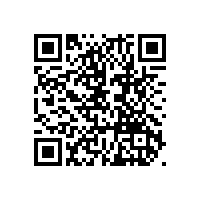 少林武術(shù)節(jié)雄風(fēng)顯天地之中丨嵩陽煤機誠邀五湖四海賓朋