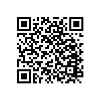 只要是干凈的、老百姓用得起的能源，就是歷史選擇的能源！