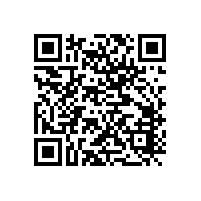 泵組裝球形止回閥的效果如何？