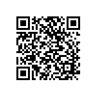 第二招，助剂追加法控制纺织品染色大货与小样之间的色差——华高染色集中控制系统