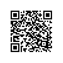 上海申江與百年申江是一家公司嗎?