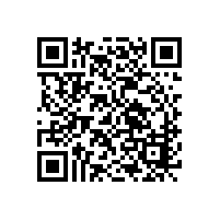 半自動的故障排除