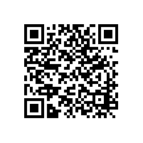 安康市審計(jì)局政府投資審計(jì)聘請(qǐng)中介機(jī)構(gòu)服務(wù)項(xiàng)目中標(biāo)（成交）結(jié)果公告（安康）