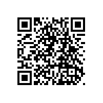 大安市叉干鎮(zhèn)人民政府大安市叉干鎮(zhèn)民樂(lè)村土地整理壓沙、平整項(xiàng)目招標(biāo)公告(資格后審)中標(biāo)公告（吉林）