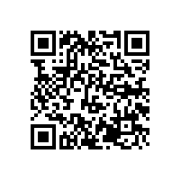 招標(biāo)代理機(jī)構(gòu)：項目經(jīng)理各階段任務(wù)-項目進(jìn)場前階段