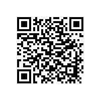 陜西省安康市嵐皋縣國稅局綜合業(yè)務(wù)辦公用房維修項目資格預(yù)審公告（陜西）