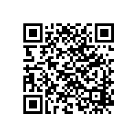 江西省瑞金市城市建設綜合執(zhí)法大隊勞務派遣采購項目電子化公開招標的中標結(jié)果公告（江西）