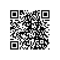 四川省財(cái)政廳關(guān)于印發(fā)《四川省政府集中采購(gòu)目錄及標(biāo)準(zhǔn)（2024年版）》的通知