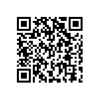 陜西省財(cái)政廳關(guān)于進(jìn)一步規(guī)范政府采購活動的通知