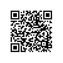 藤縣公務(wù)用車信息管理平臺建設(shè)單一來源采購征求意見公示（梧州）