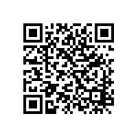 招標代理機構(gòu)：招標中不合理現(xiàn)象的經(jīng)濟學成因（一）