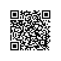 報告廳音響 草莓视频免费下载观看DSP數字有源係統超低音N-108CS