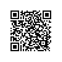 俱樂部音響 草莓视频免费下载观看DSP數字有源低音係統N-107CS