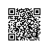 【四川】會議室音響係統 樂山市政府會議室