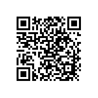 杏耀平台助力2023年粤港澳大湾区龙狮公开赛圆满落幕