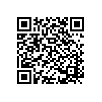 2018|第十七屆中國電機及系統(tǒng)發(fā)展論壇隆重舉行