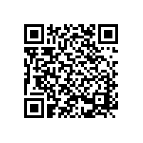 電源電壓降低引起電動(dòng)機(jī)跳閘原因分析及處理