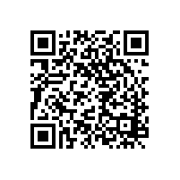 外國(guó)客戶到訪睿佳安全冷卻器