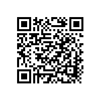 柏艾斯：2012年度ISO9000外審工作圓滿結(jié)束