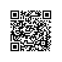柏艾斯：光伏企業(yè)批政府“金太陽(yáng)”照不亮國(guó)內(nèi)市場(chǎng)