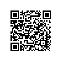 柏艾斯：光伏的希望在國(guó)內(nèi)市場(chǎng)