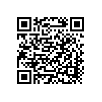 柏艾斯：河北中小光伏廠商集體“破產(chǎn)” 英利、晶龍不想“整合”