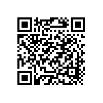 柏艾斯：中國光伏產業(yè)緣何頻頻受傷?