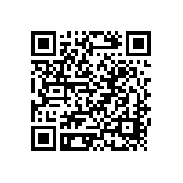 刀片電池向全球開放 比亞迪開始“收割”動(dòng)力市場(chǎng)