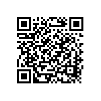 官方大力支持 市場(chǎng)增長(zhǎng)迅猛：中國(guó)燃料電池汽車異軍突起