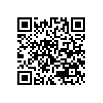 工信部欲“以硅治硅” 美國“雙反”或致中美雙輸