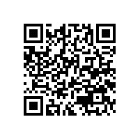 評 李東生先生的“中國企業(yè)對技術(shù)的崇拜遠(yuǎn)不如金錢”微博有感