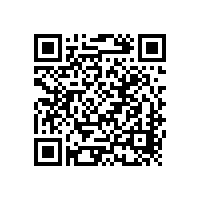 新能源汽車(chē)地方保護(hù)是自毀長(zhǎng)城