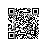 中國光伏產(chǎn)能占世界80%，市場(chǎng)僅為0.8%，中國光伏企業(yè)力求突破